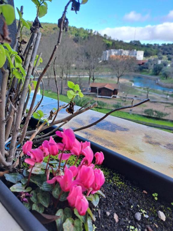 Hotel Olhos D' Agua Alcanena Zewnętrze zdjęcie