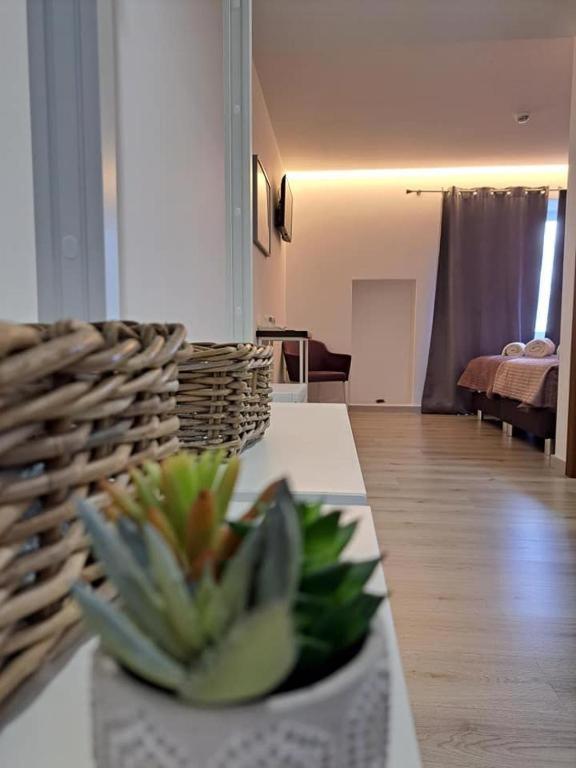 Hotel Olhos D' Agua Alcanena Zewnętrze zdjęcie